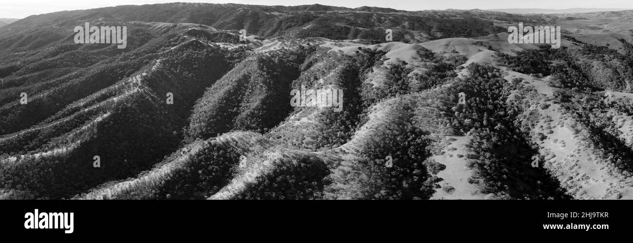 Grünes Gras und Eichen bedecken die sanften Hügel und Täler der Tri-Valley-Region Nordkaliforniens, östlich der San Francisco Bay. Stockfoto
