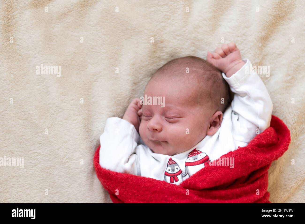 Top View Portrait First Days of Life Neugeborene Niedliche schlafende Baby in Pyjamas in Red Winper Teppich auf weißem weichen Hintergrund gewickelt. Frohe Weihnachten, Glücklich Stockfoto