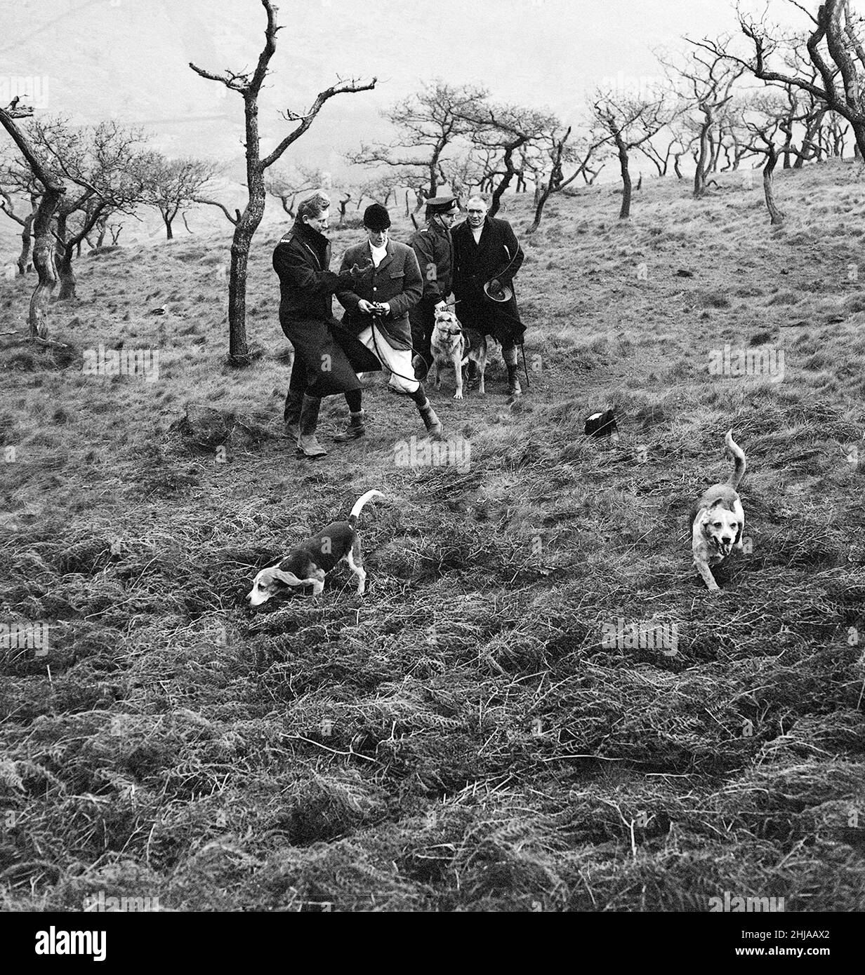 Morde Von Mauren. Search for John Kilbride December 1963 on Saddleworth Moor *** Local Caption *** Ian Brady Myra Hindley Stockfoto