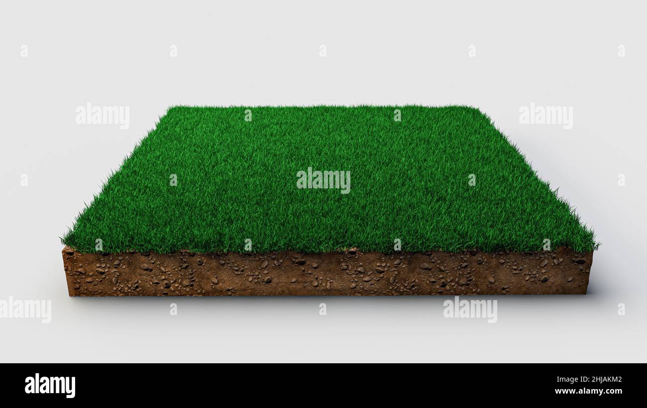 3D Darstellung eines geologischen Querschnitts mit grünem Gras isoliert auf weißem Hintergrund Stockfoto