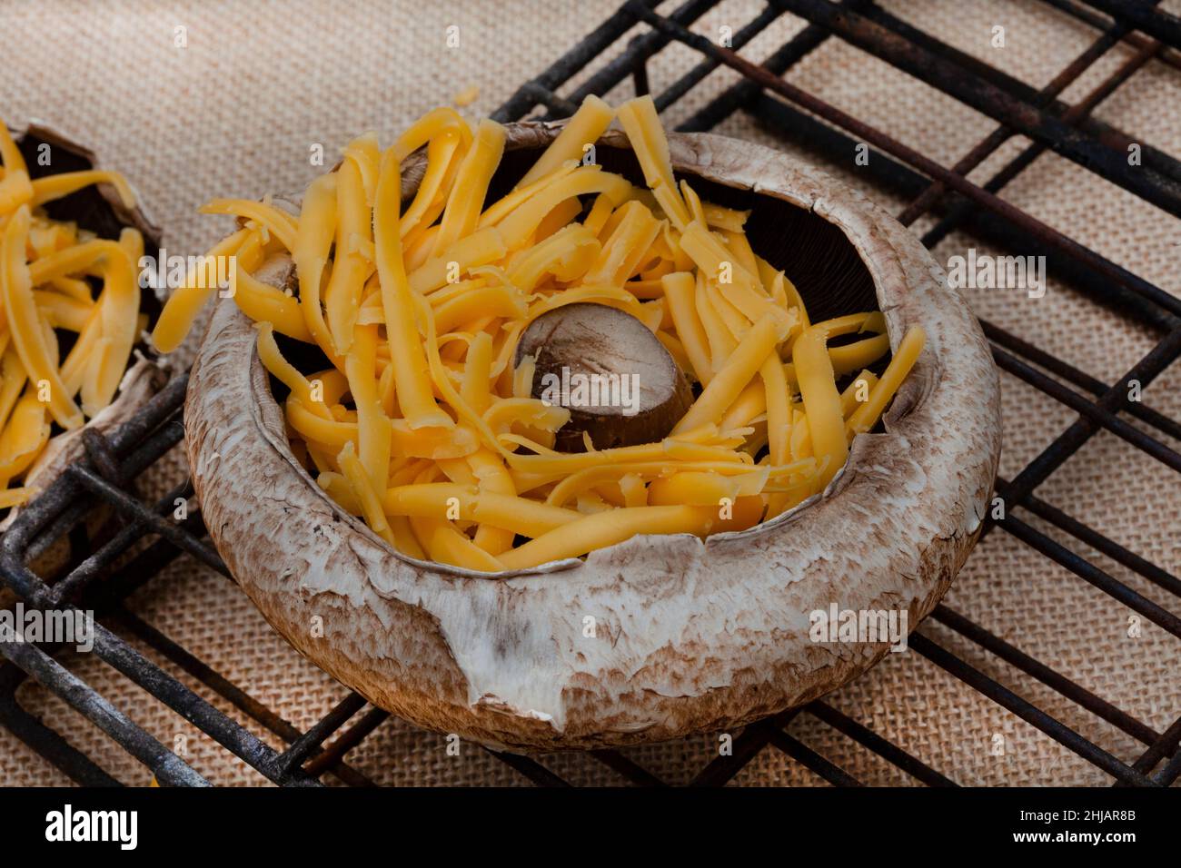 Großer schwarzer Pilz mit Käse zum Grillen oder Grillen Stockfoto