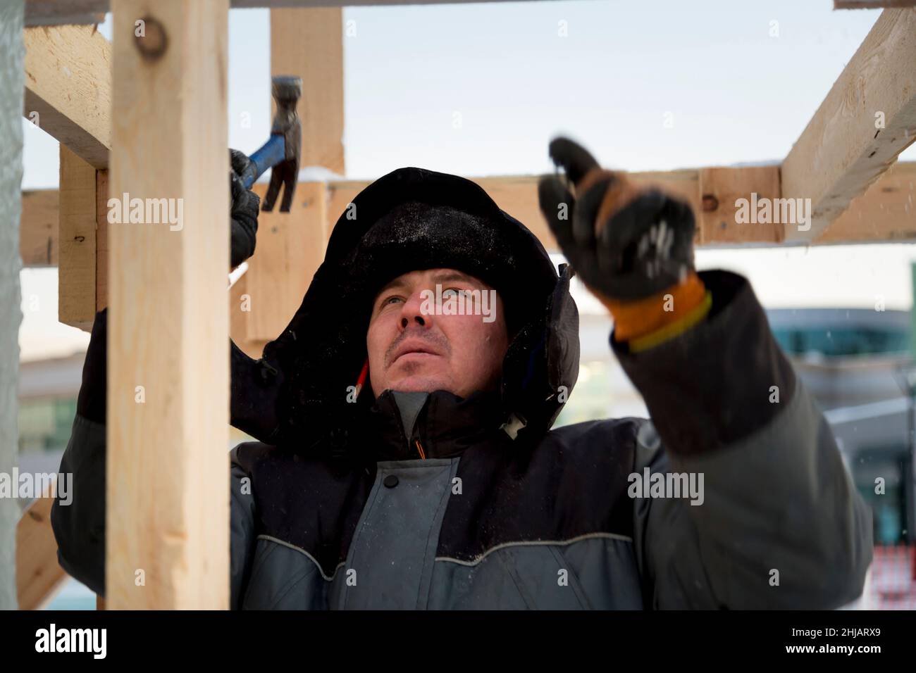 Baumeister in einer grauen Kapuzenjacke mit einem Hammer in der Hand bei der Montage einer Holzkonstruktion Stockfoto