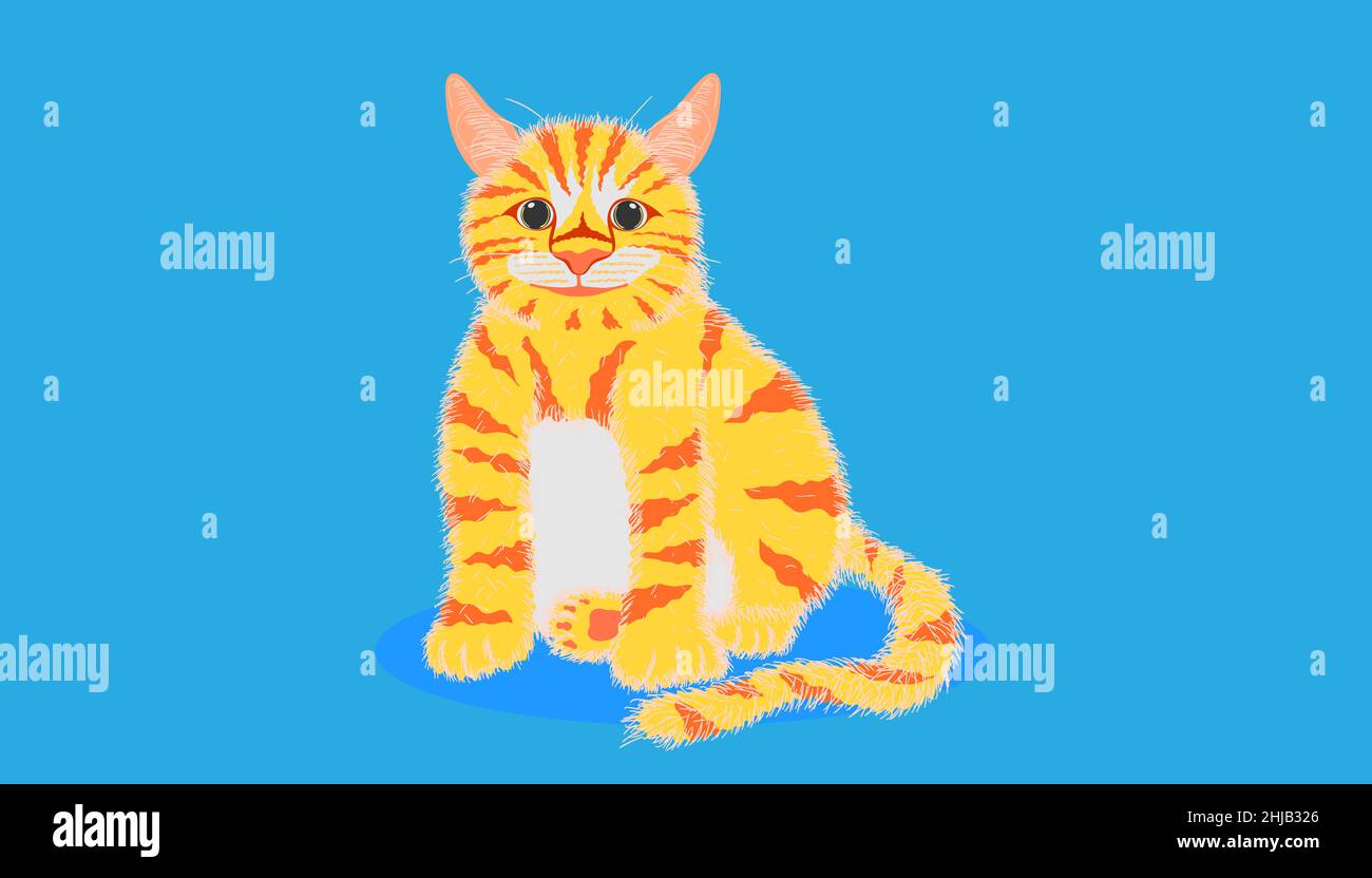 Katze suchen etwas und sitzt auf pastellblauem Hintergrund. vektor-Illustration EPS10 Stock Vektor