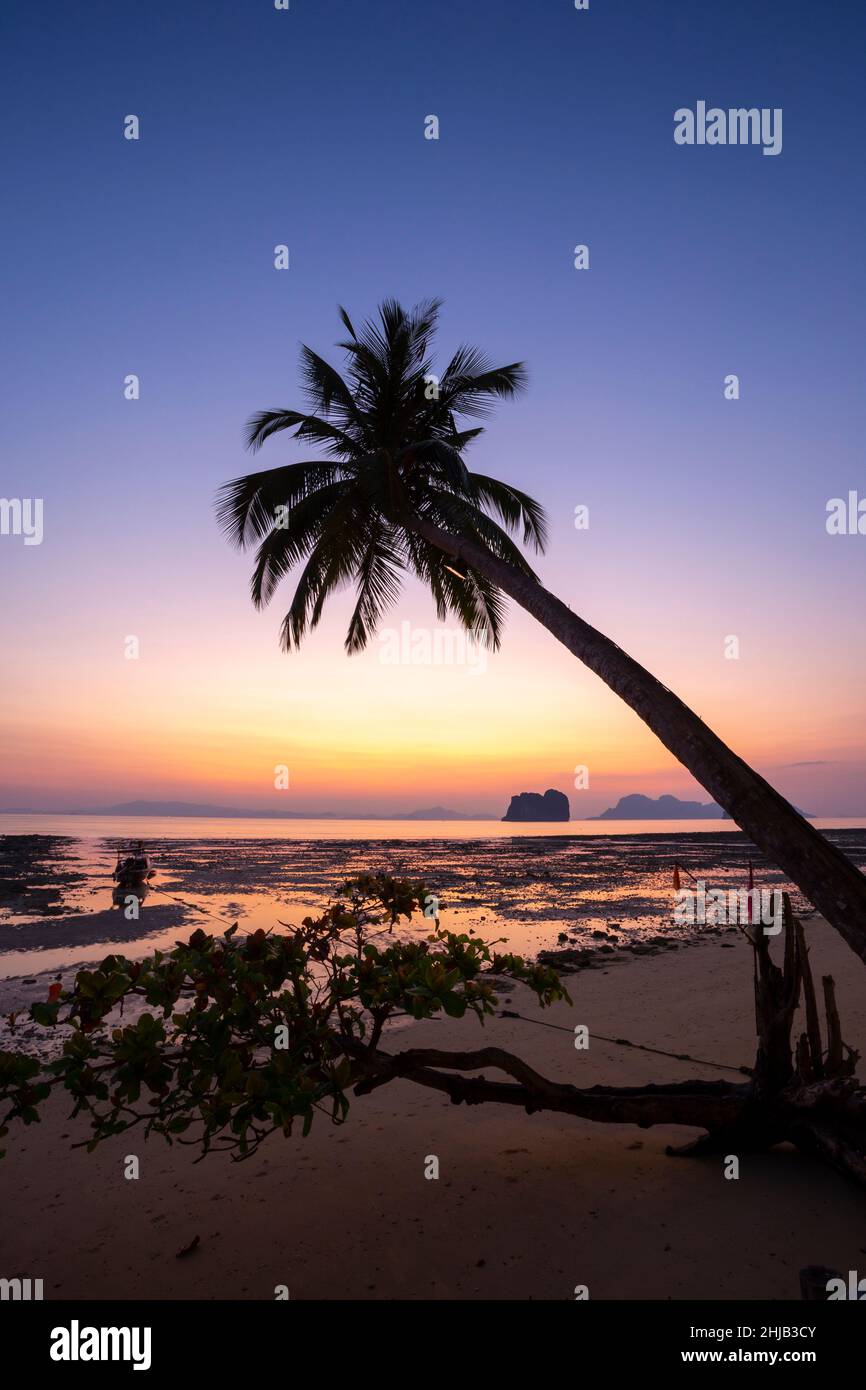 Licht vor Sonnenaufgang auf Koh (Insel) Ngai, Provinz Trang, Thailand. Stockfoto