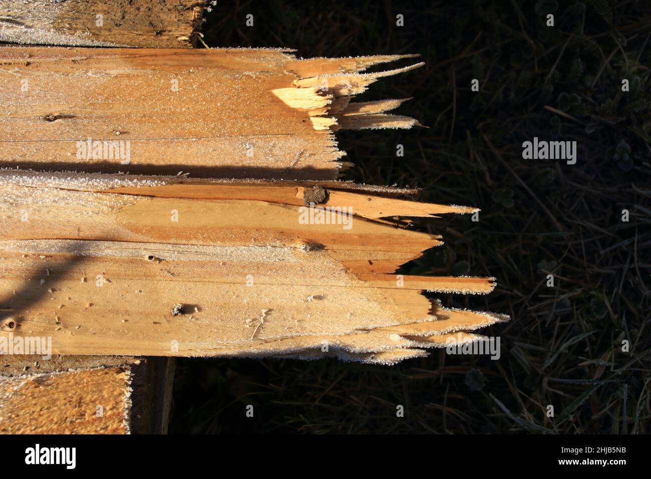 Bruchkante auf einer Holzplanke Stockfoto