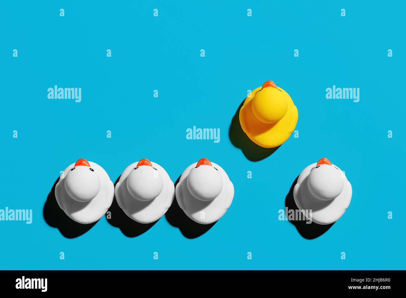 Gummiente mit Wettbewerbsvorteil hebt sich von der Masse ab. Erfolgreiches Existenzgründungs- oder Karriereförderungskonzept. Stockfoto