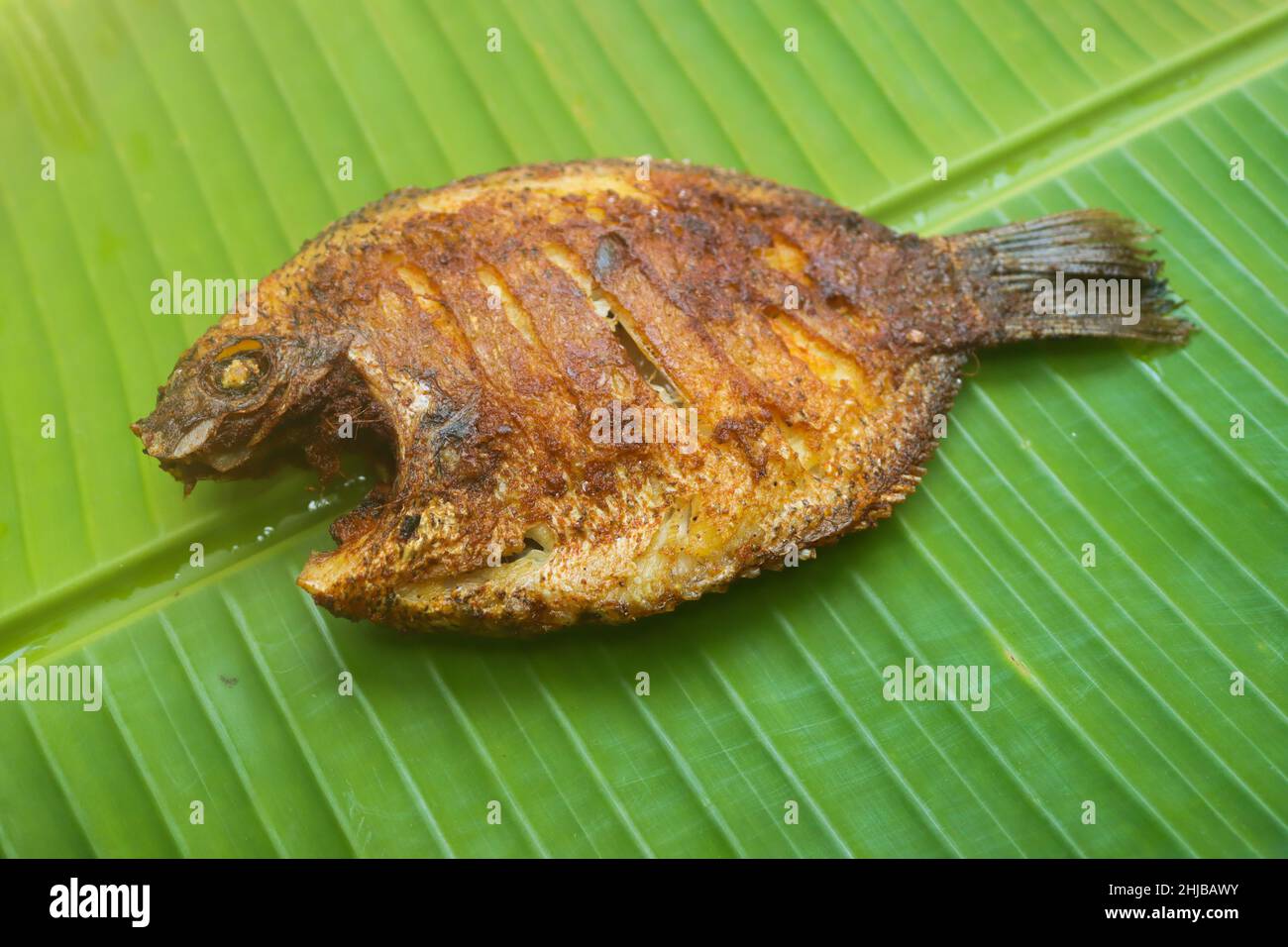 Karimeen braten kerala Fischbraten Stockfoto