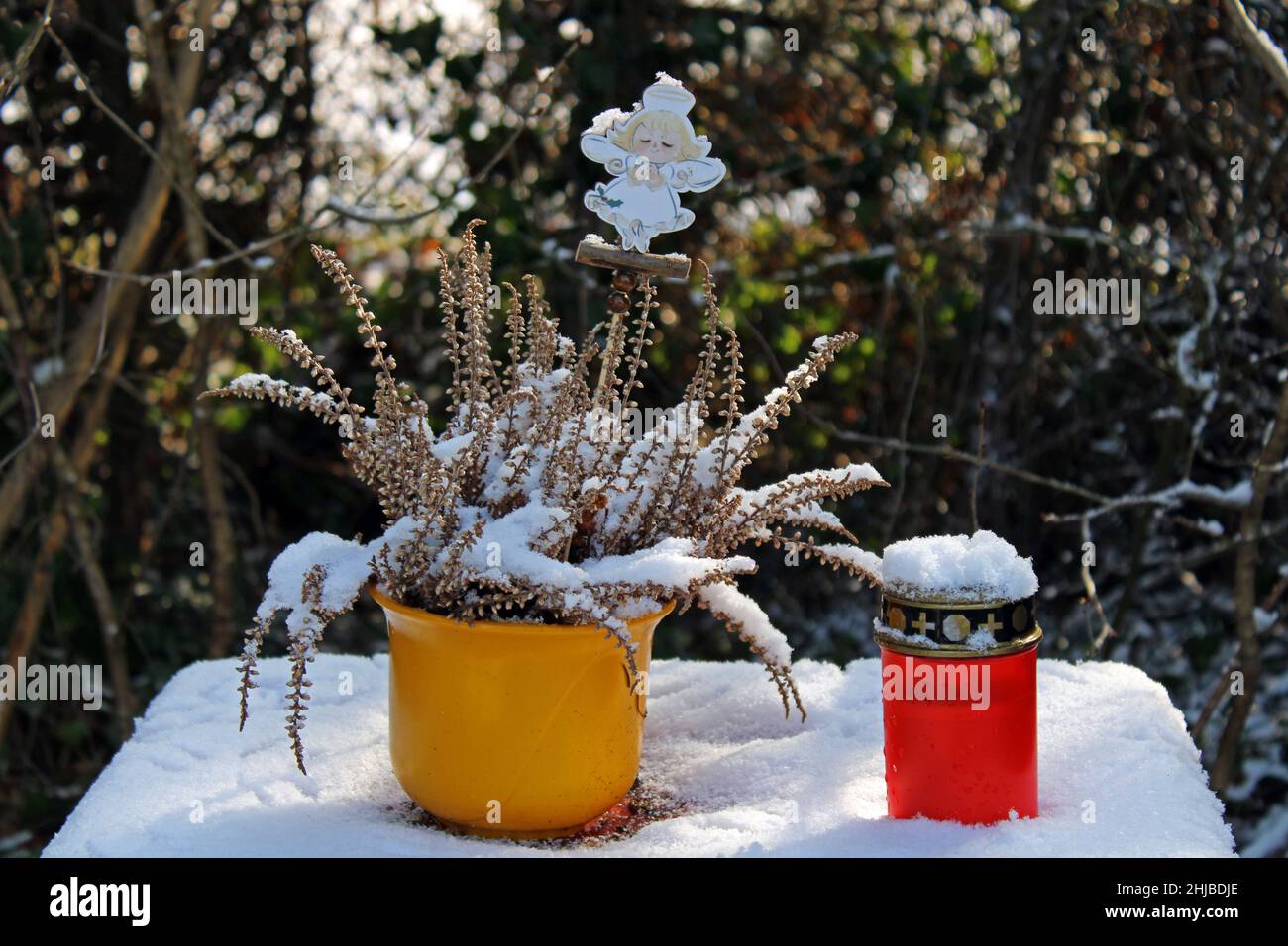 Wintermorgen und die gefrorene Dekoration für Respekt und in Erinnerung an unsere Lieben auf dem Land in der Nähe von Zagreb, Kroatien Stockfoto