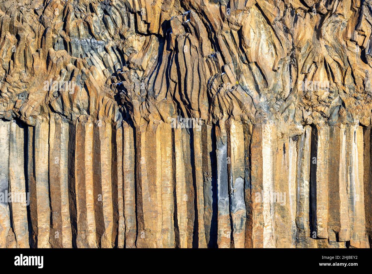 Basaltsäulen am Wasserfall Aldeyjarfoss, Island. Die Säulen wurden vor etwa 9000 Jahren aus kühlender Magma durch ein vulkanisches Ereignis gebildet. Nördliches Icel Stockfoto