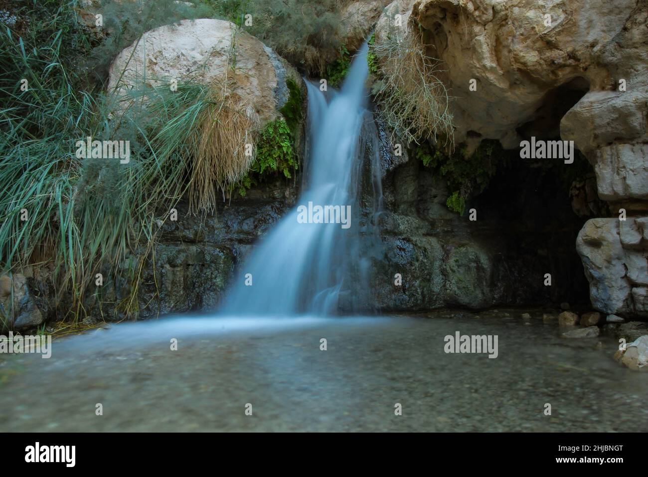 Oase von en Gedi am Toten Meer, Israel Stockfoto