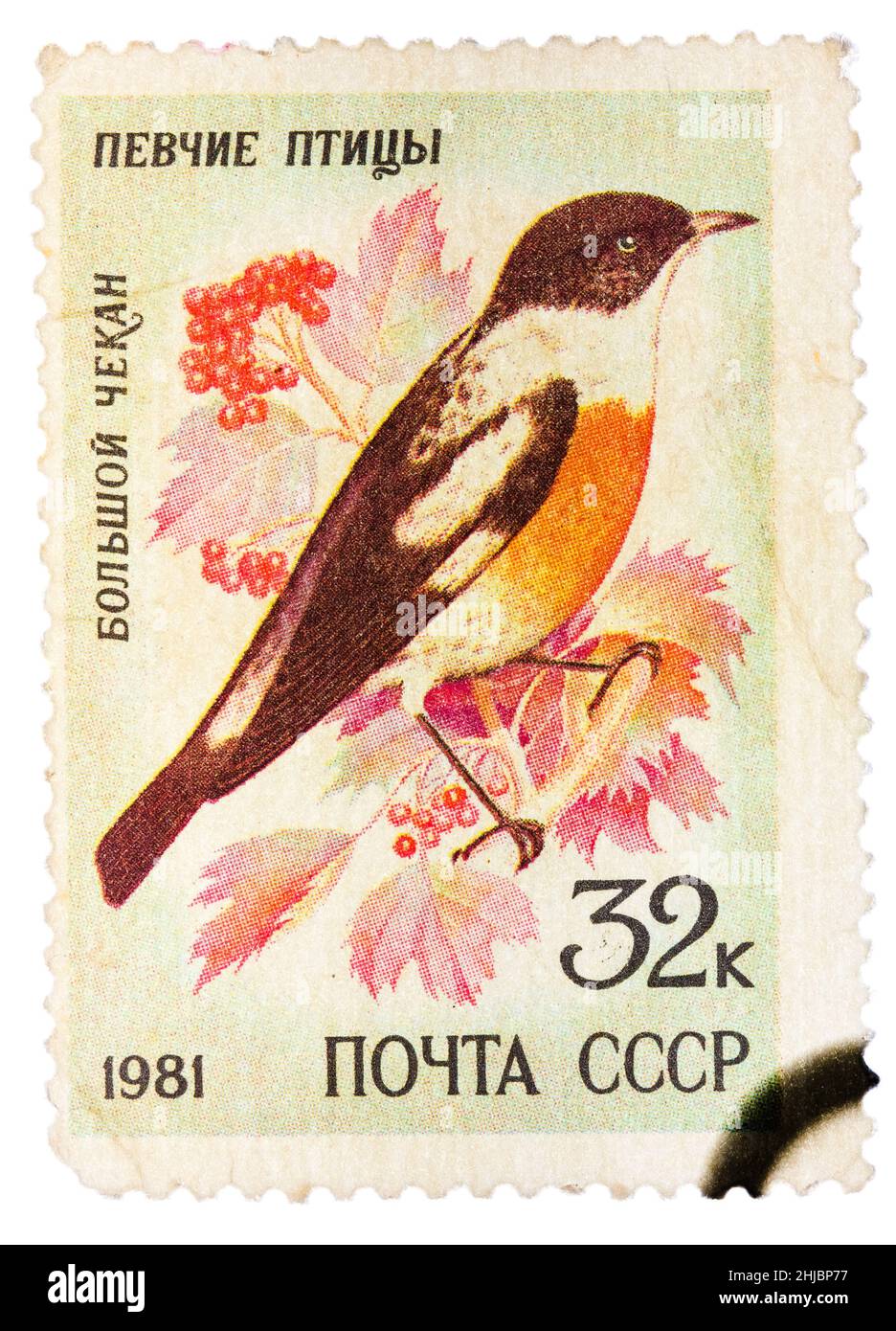 Stempel gedruckt von Russland, zeigt Vogel, Weißkehlchen Bush Chat Stockfoto