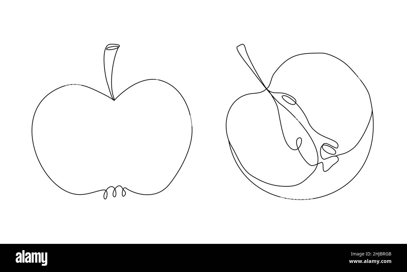 Apple Silhouette im Line Art Style. Ganz und Apfel halb in der Kontur schneiden. Minimalistischer Vektor kontinuierliche Linie gezeichnet Frucht Stock Vektor