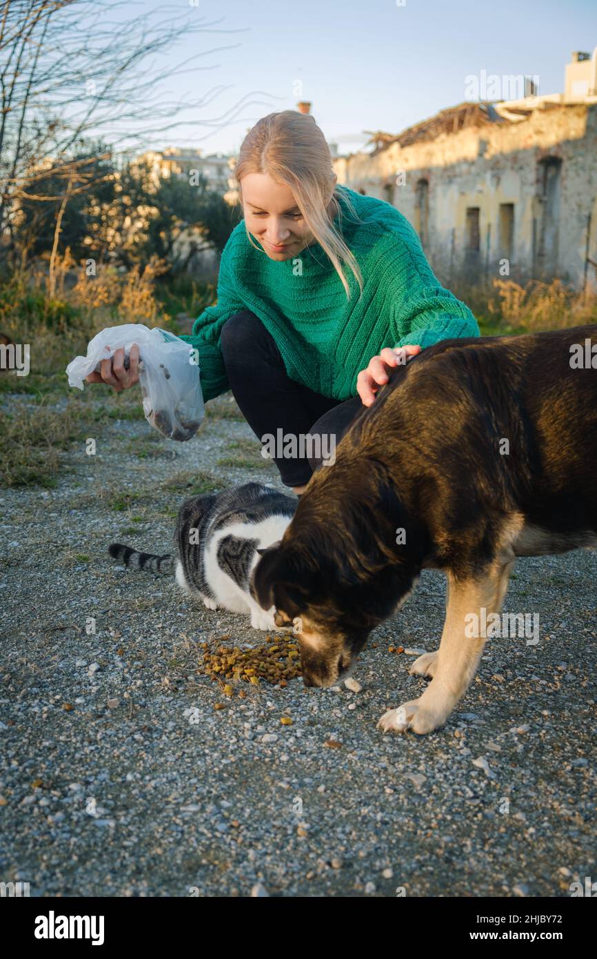 Frau, die Straßenkatze und Hund füttert. Stockfoto