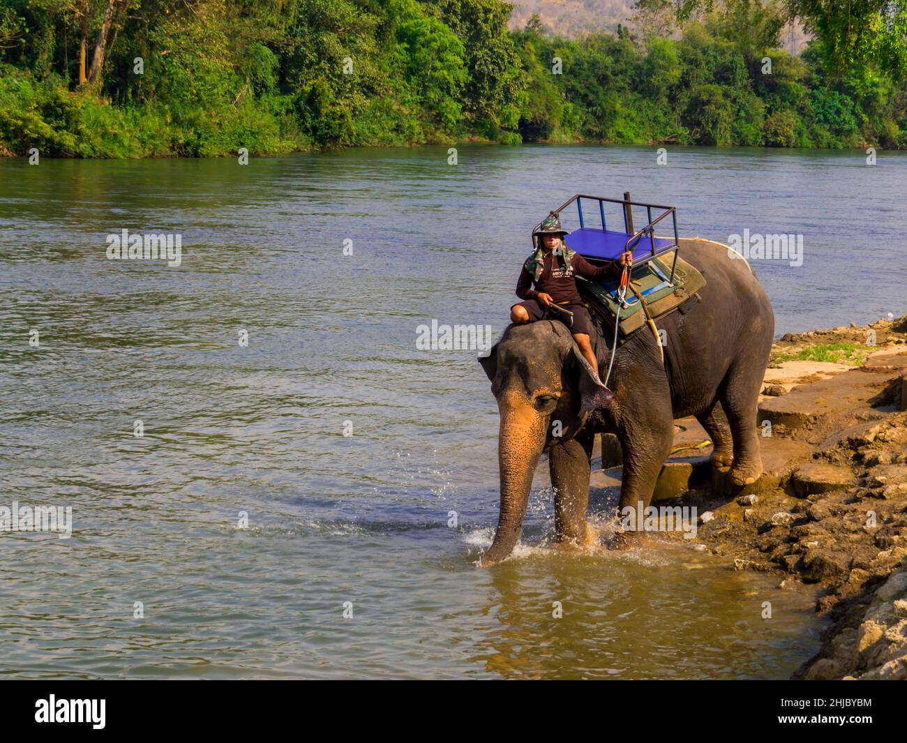 Kanchanaburi, Thailand - 4. Januar 2020: Elefantentrainer im Mahawangchang Elephant Camp. Stockfoto