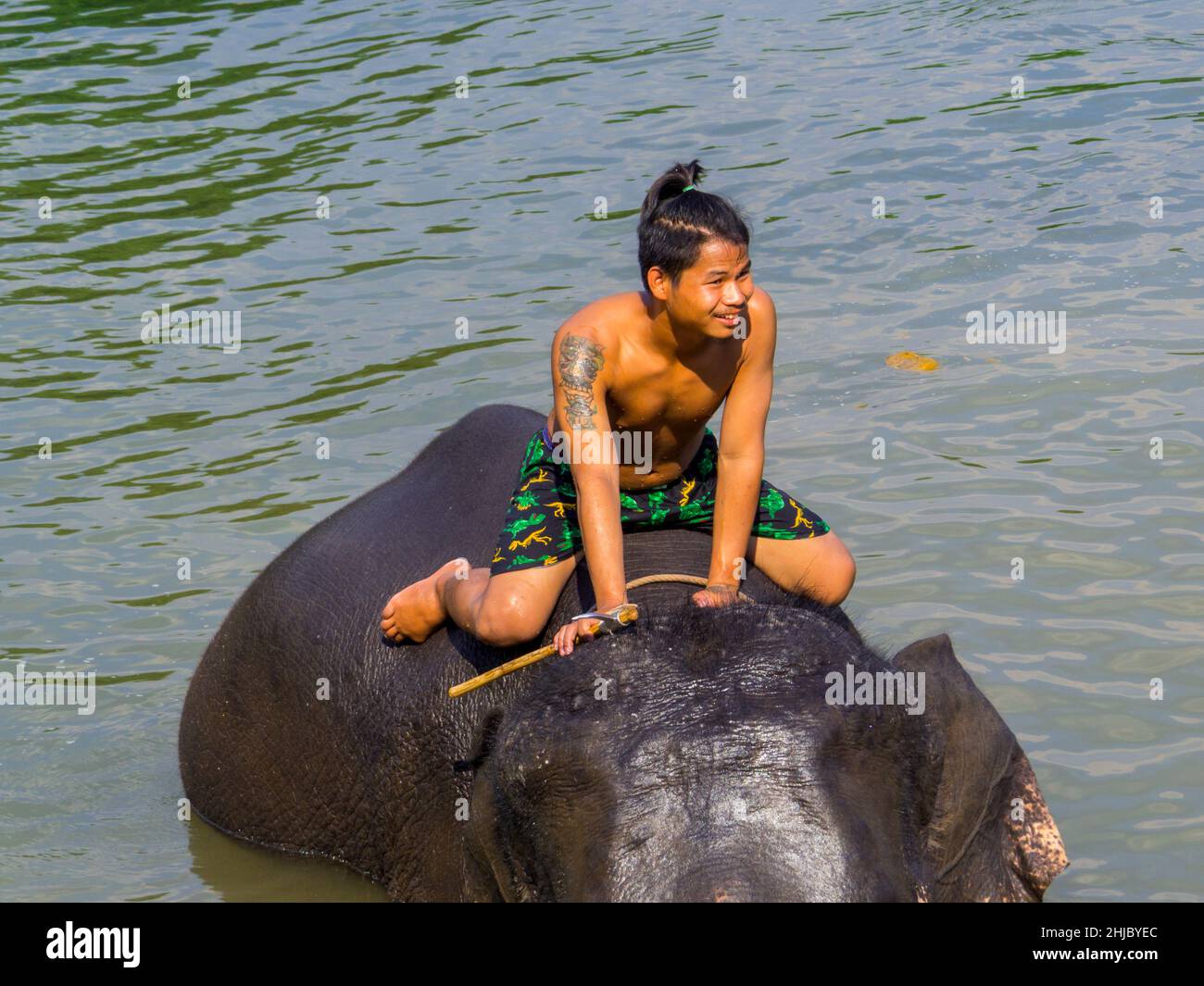 Kanchanaburi, Thailand - 4. Januar 2020: Elefantentrainer im Mahawangchang Elephant Camp. Stockfoto
