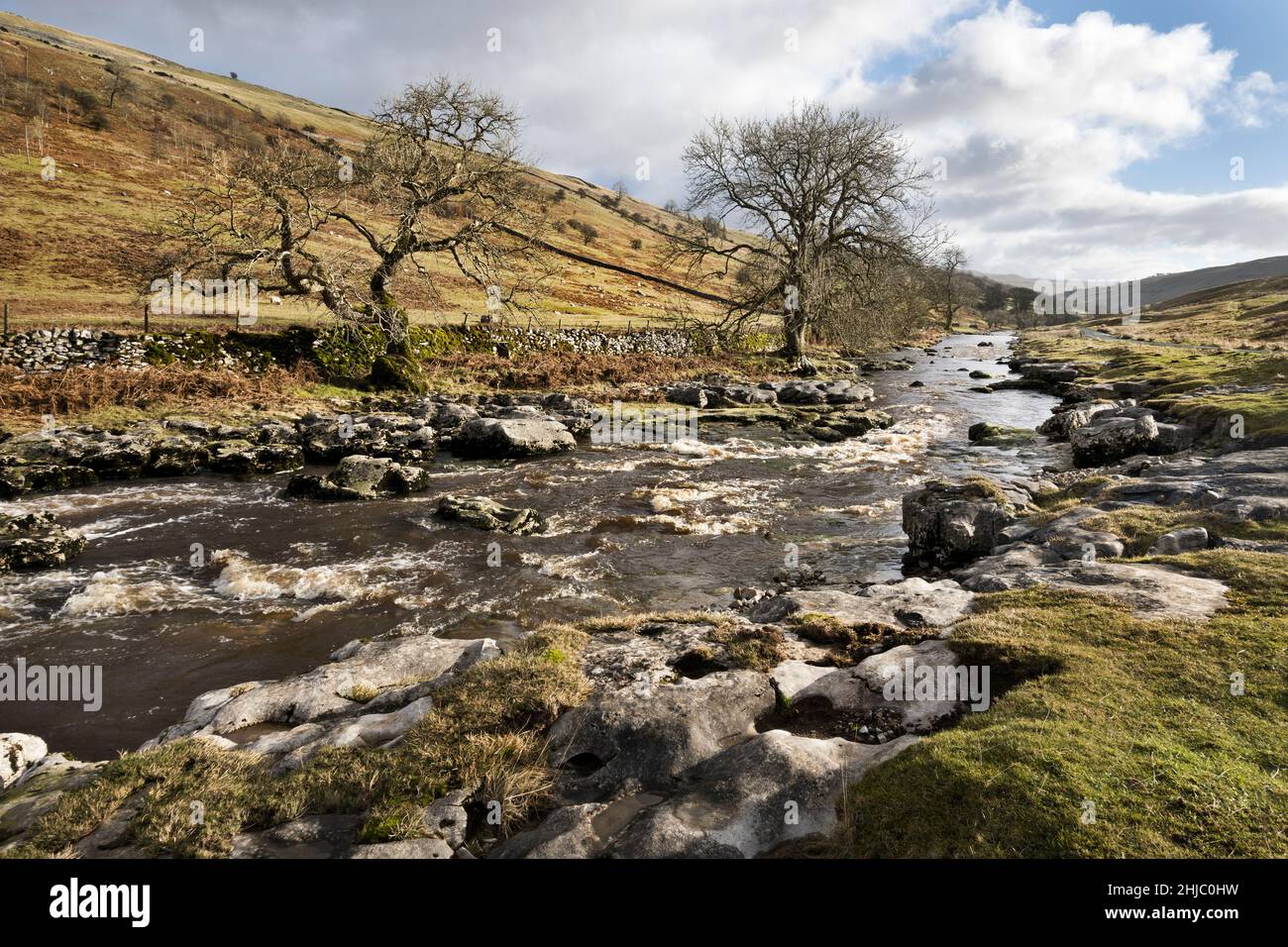 Die oberen Regionen des Flusses Wharfe in Langstrothdale, in der Nähe von Yockenthwaite, Yorkshire Dales National Park, Großbritannien Stockfoto