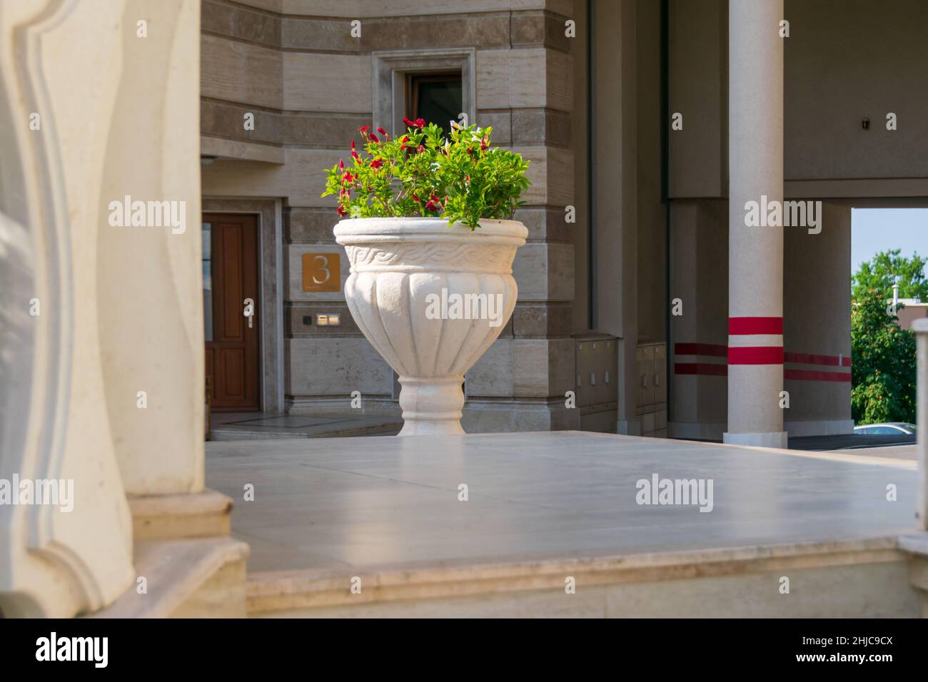 Große Vase mit Blumen, am Schwarzen Meer in Varna, Bulgarien Stockfoto
