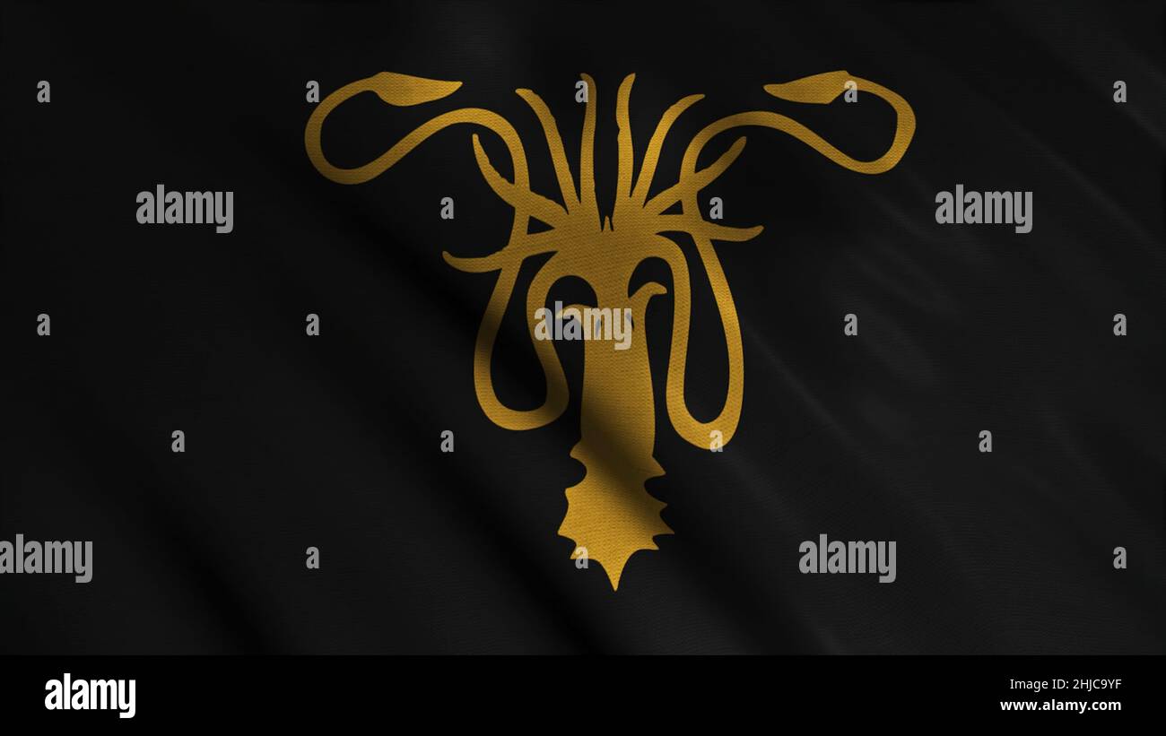 Abstraktes Entwicklungsgewebe der Flagge. Animation. Silhouette aus goldenem kraken mit Tentakeln auf dem Hintergrund der sich entwickelnden schwarzen Flagge. Emblem des Hauses Grau Stockfoto