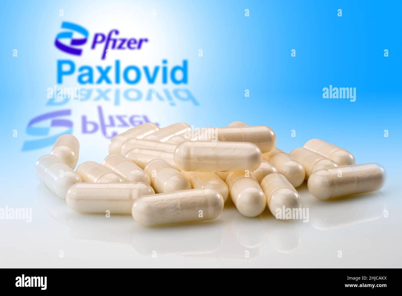 Turin, Italien - 28. Januar 2022: Paxlovid Pillen Medikamente für die Behandlung Covid19 in Nahaufnahme mit verschwommenem Pfizer-Logo im Hintergrund, Konzept Stockfoto