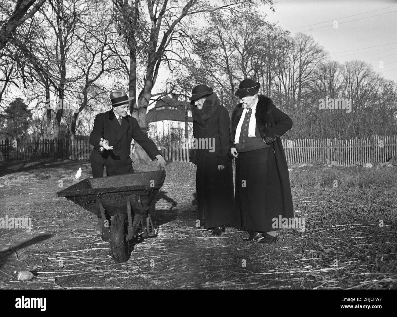 Spaß haben in der 1930s. Ein älterer Mann bietet seinen ebenso alten Freundinnen eine Fahrt in seiner Schubkarre an. Sie sehen etwas zögerlich aus, sein Angebot zu übernehmen. Es sind Lars-August Lundmark, Olivia Svensson und Alina Bodin in einem Haus für ältere Schauspieler außerhalb Stockholms. Schweden 1939. Kristofferson Ref. 39-11 Stockfoto