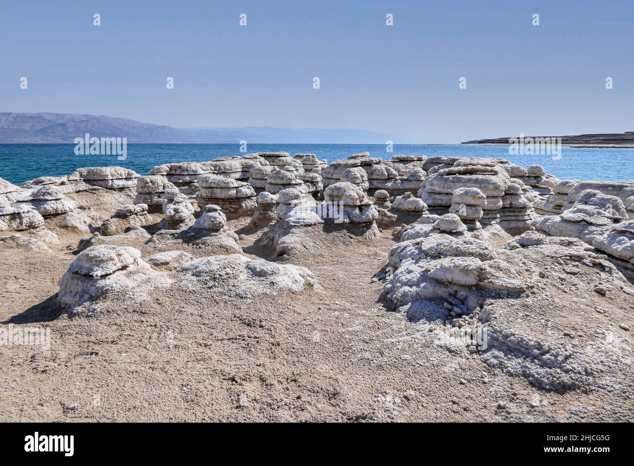 Blick auf die schönen Muster der Salzformationen des Toten Meeres. Salzpilze Stockfoto