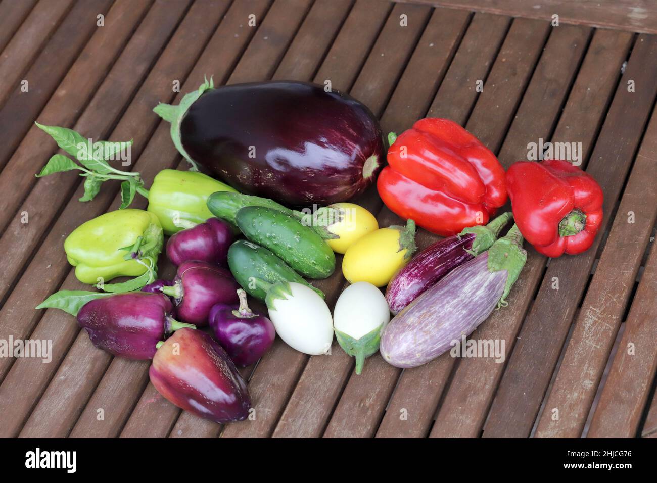 Gemüse im heimischen Garten geerntet. Verschiedene Sorten von Paprika, Auberginen und Gurken. Stockfoto