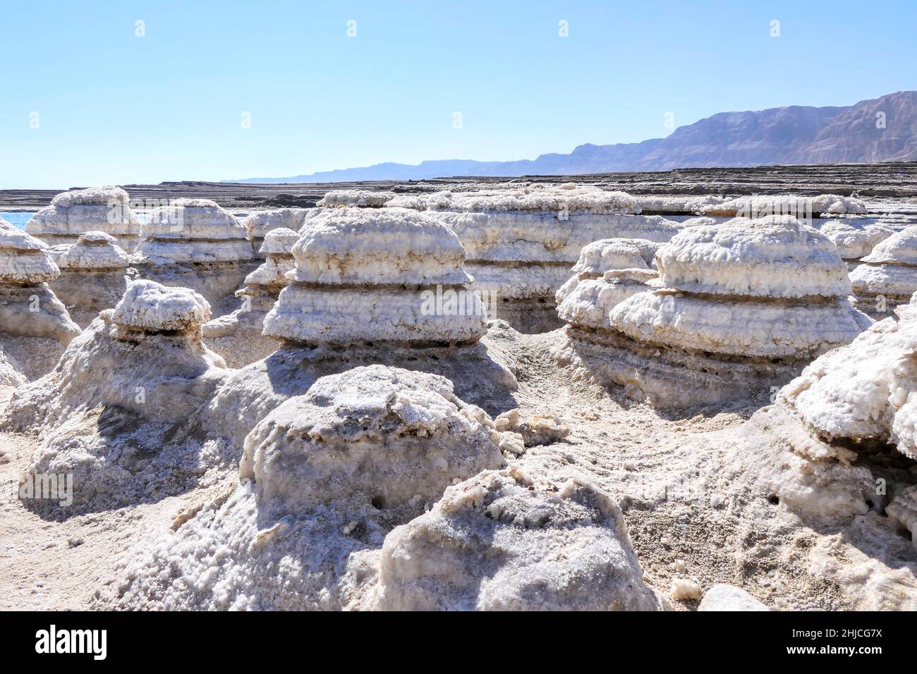 Blick auf die schönen Muster der Salzformationen des Toten Meeres. Salzpilze Stockfoto