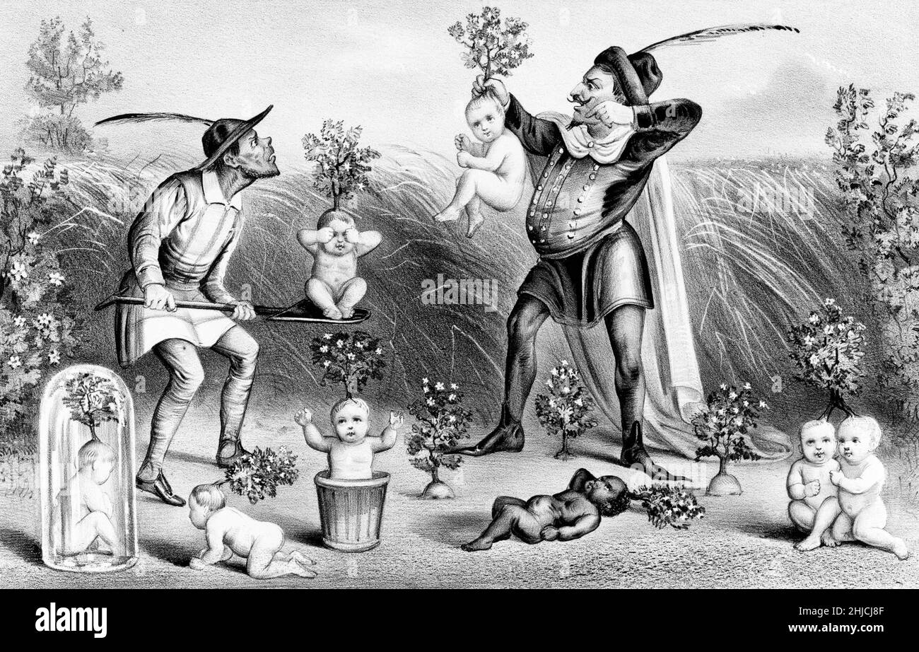 Herkunft der Art, eine satirische Illustration von Currier und Ives, 1874. Babys werden wie Pflanzen vom Boden gezogen. Darwin's On the Origin of Species wurde erstmals 1859 veröffentlicht. Stockfoto