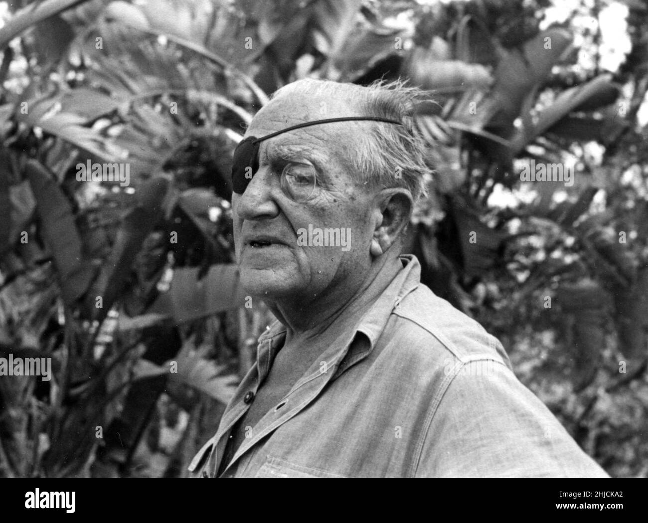 Fritz lang (1890-1976) in Beverly Hills, 1965. Lang war ein österreichischer Filmemacher, Drehbuchautor und gelegentlicher Filmproduzent und Schauspieler. Als einer der bekanntesten √©migr√©aus der deutschen Schule des Expressionismus wurde er vom British Film Institute als 'Master of Darkness' bezeichnet. Zu seinen bekanntesten Filmen gehören der bahnbrechende Metropolis (der teuerste Stummfilm der Welt zum Zeitpunkt seiner Veröffentlichung) und M, der vor seinem Umzug in die USA entstanden ist und als Vorläufer des Filmgenres Noir gilt. Stockfoto
