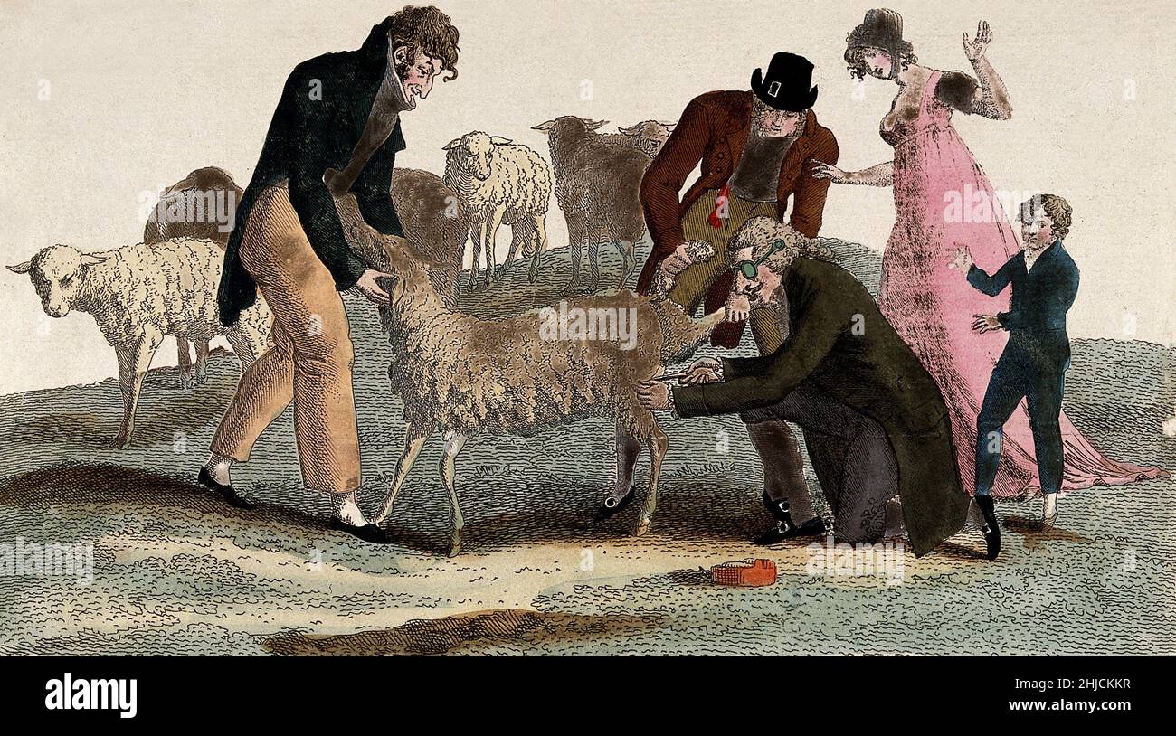 Luigi Marchelli, ein genuesischer Chirurg, bezieht von einem Schaf Material zur Impfung gegen Pocken. Der zu dieser Illustration beiliegende Text zur Impfung lobte sarkastisch Marchelli, der, so heißt es, mit Galileo und Descartes zusammen war. Farbige Radierung, c. 1807. Stockfoto