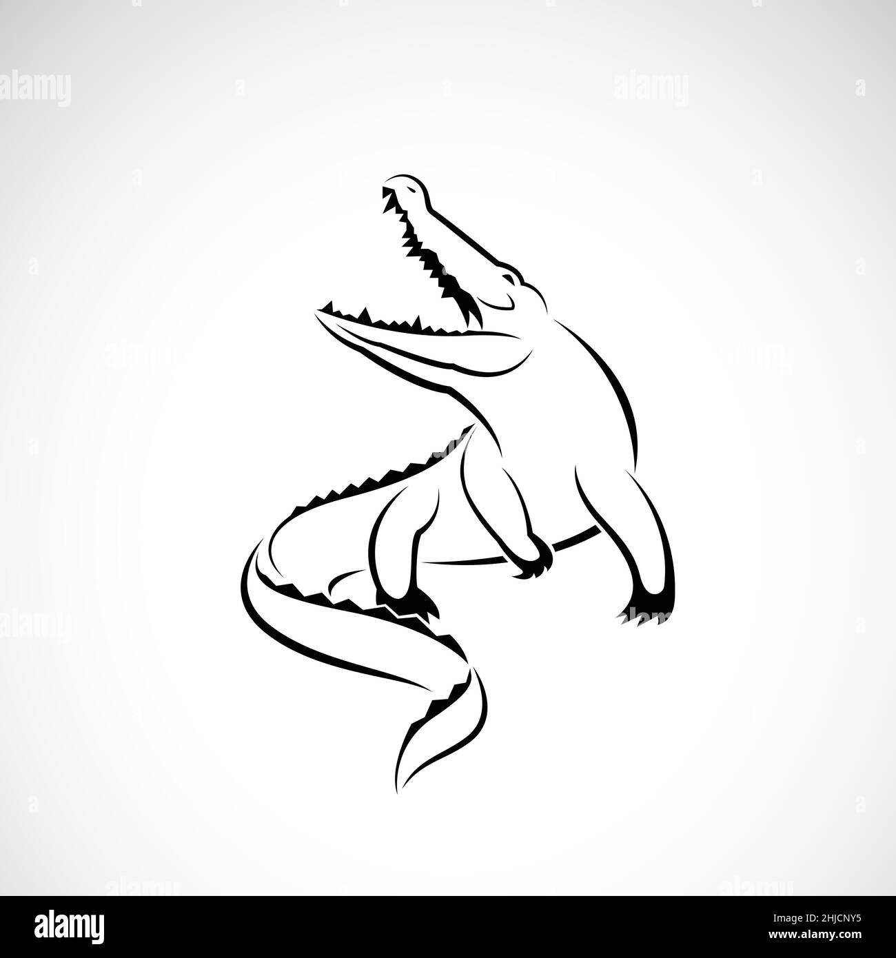 Vektor von Krokodil-Design auf weißem Hintergrund. Wilde Tiere. Reptil. Leicht editierbare Vektorgrafik mit Ebenen. Stock Vektor