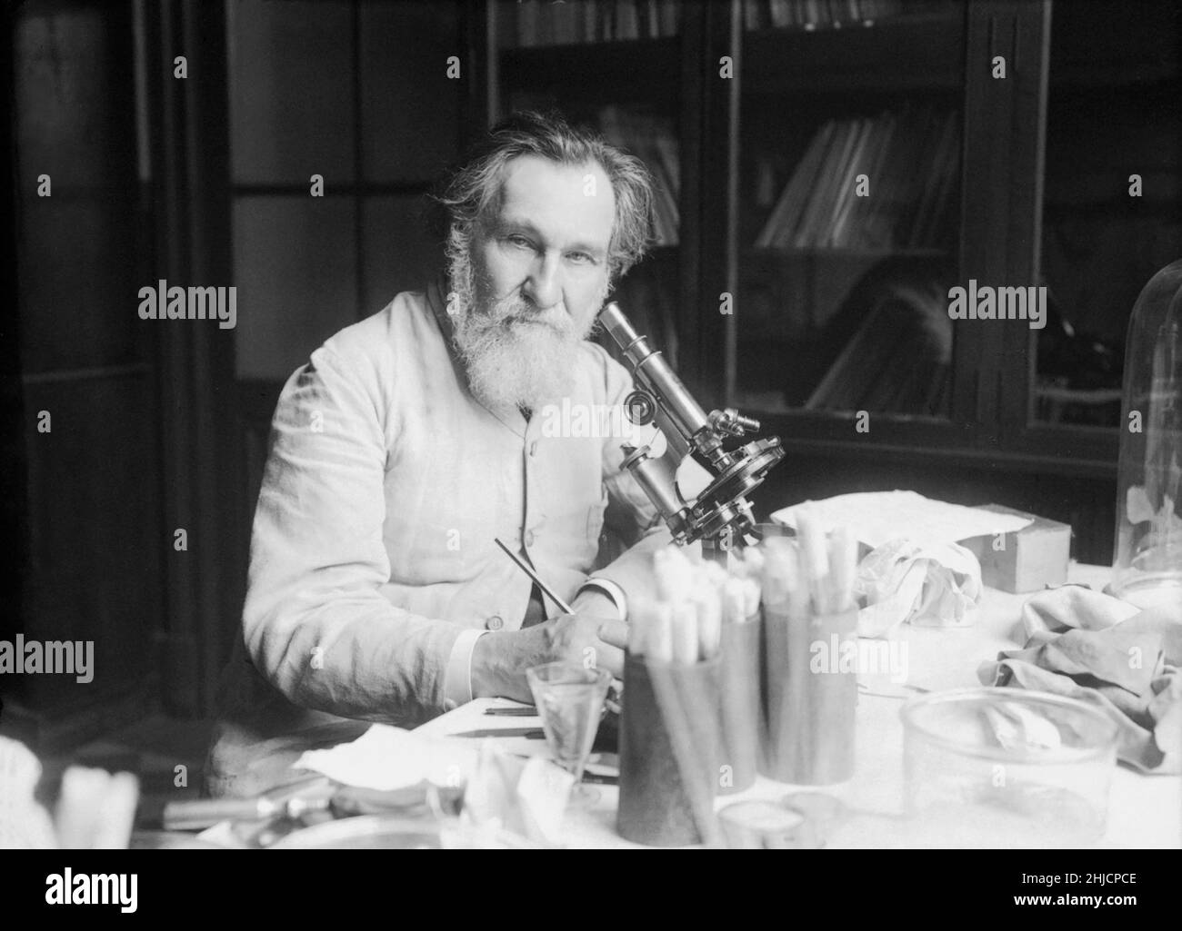 Ilya Iljitsch Mechnikov, auch bekannt als √âlie Metchnikoff (1845 -1916), russischer Zoologe, bekannt für seine bahnbrechenden Forschungen in der Immunologie. Er und Paul ehrlich wurden 1908 gemeinsam mit dem Nobelpreis für Physiologie oder Medizin ausgezeichnet. Er entdeckte 1882 einen Immunitätsprozess, der Phagozytose genannt wird, und die dafür verantwortliche Zelle, eine Phagozyte genannt, speziell die Makrophagen. Fotografiert in seinem Labor, 1913. Stockfoto