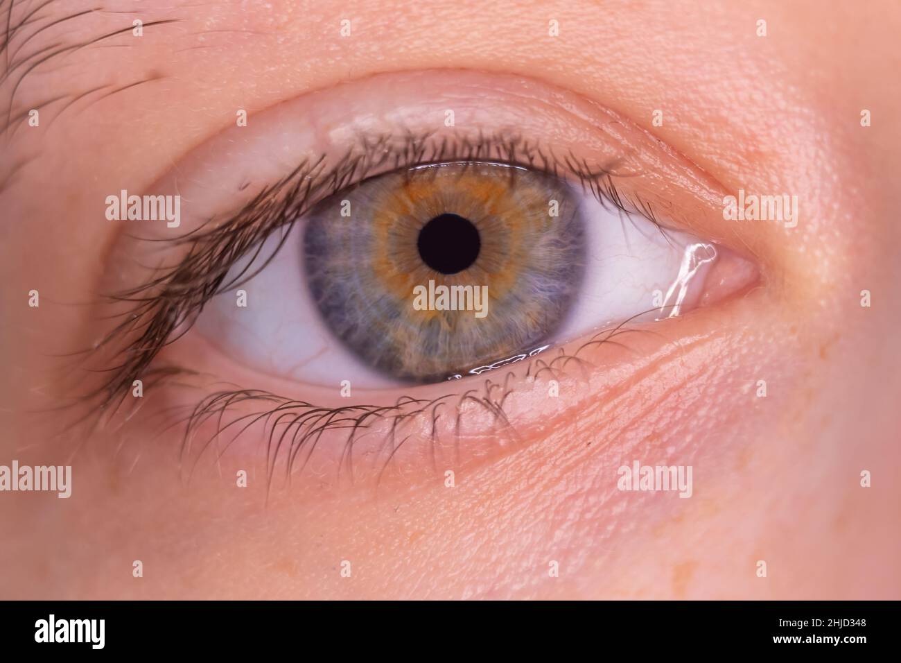 Makrofotografie der Pupille eines jungen weiblichen Auges Stockfoto
