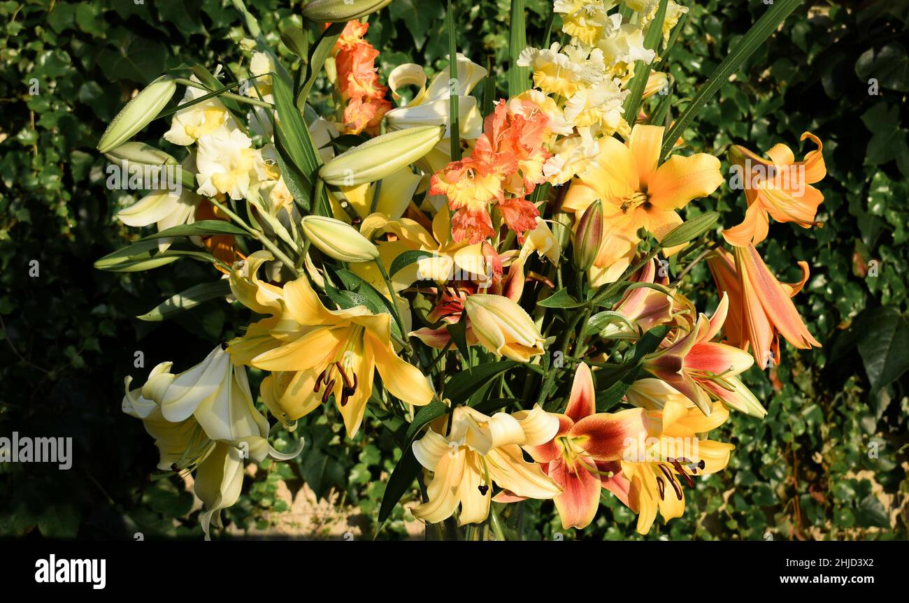 Bouquet de lys jaunes et oranges Stockfoto
