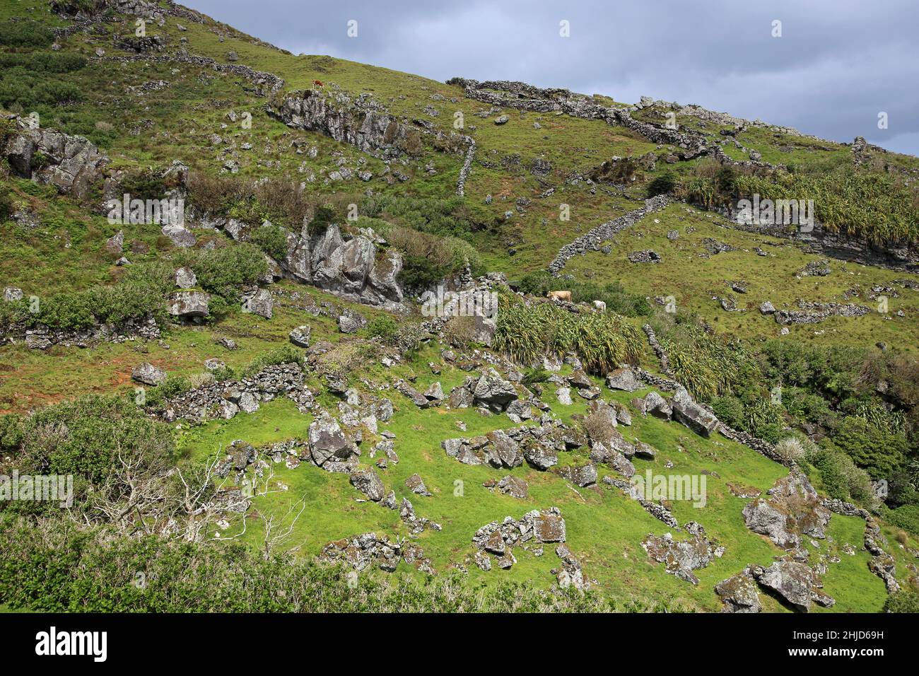 Insel Corvo, Azoren, Landwirtschaft an den Hängen der Caldeirao do Corvo - Insel Corvo Azoren, Landwirtschaft an den Hängen des Caldeirao do Corvo Stockfoto