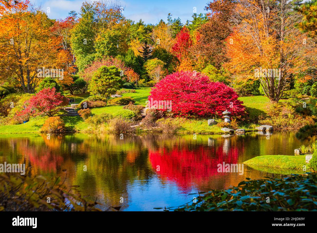 Die Asticou Azalea Gardens auf Mount Desert Island, Maine im Herbst Stockfoto