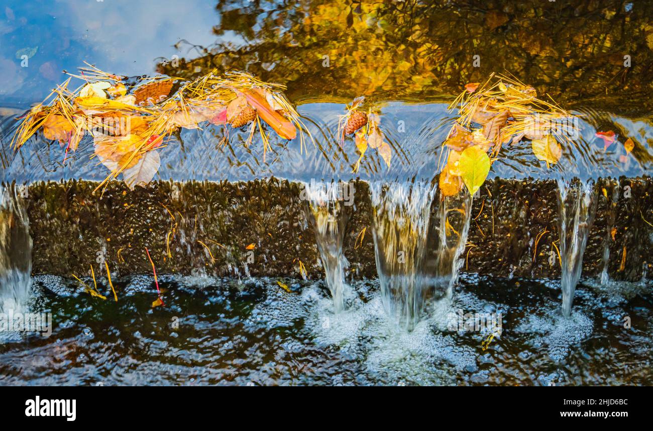 Wasser sickert über Stein Schritt fangen Kiefernnadeln und Kiefernzapfen Stockfoto