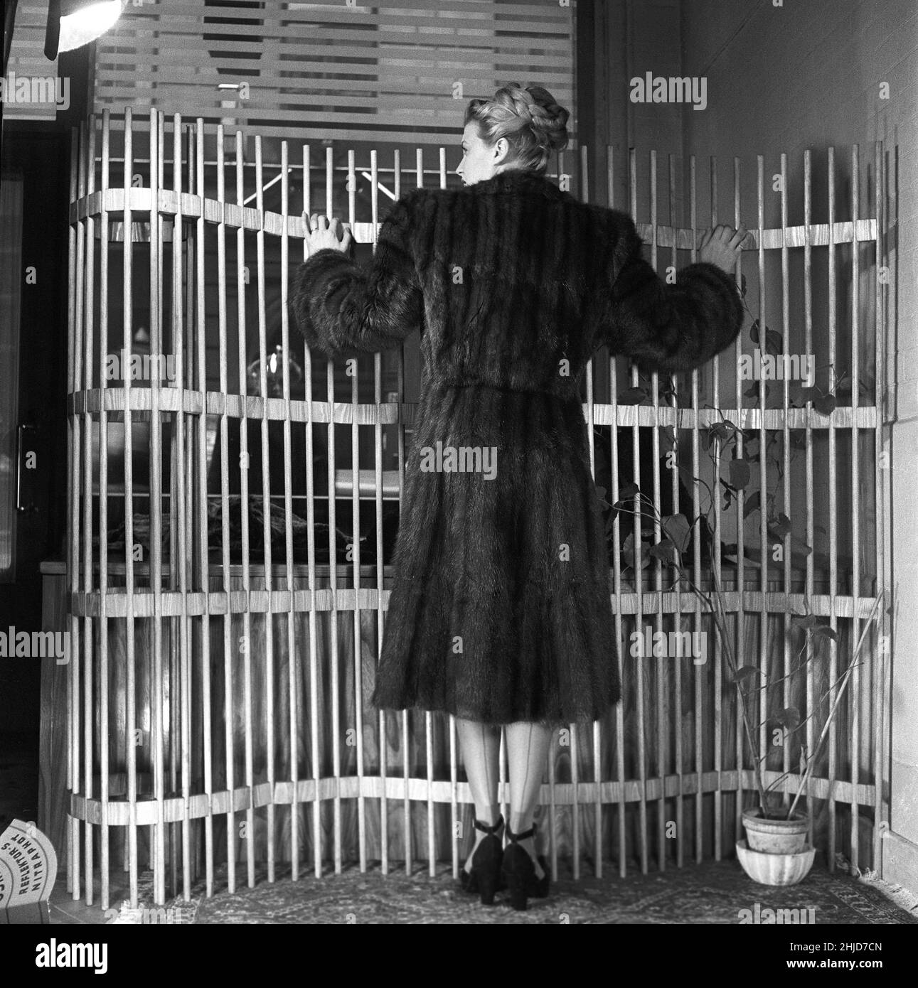 Frau in den 1940s. Ein Modelmodell, das vor einem kreativen Hintergrund einen Pelzmantel trägt. Schweden 1948 Ref. Kristoffersson AF10-2 Stockfoto