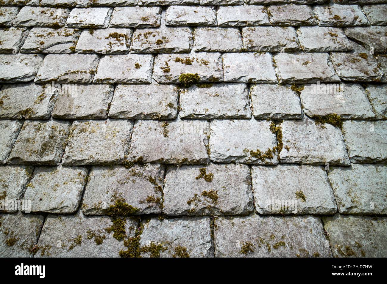 Flechten und Moos bedeckten lokales Schiefer-Ziegeldach grasmere, Lake District, cumbria, england, großbritannien Stockfoto