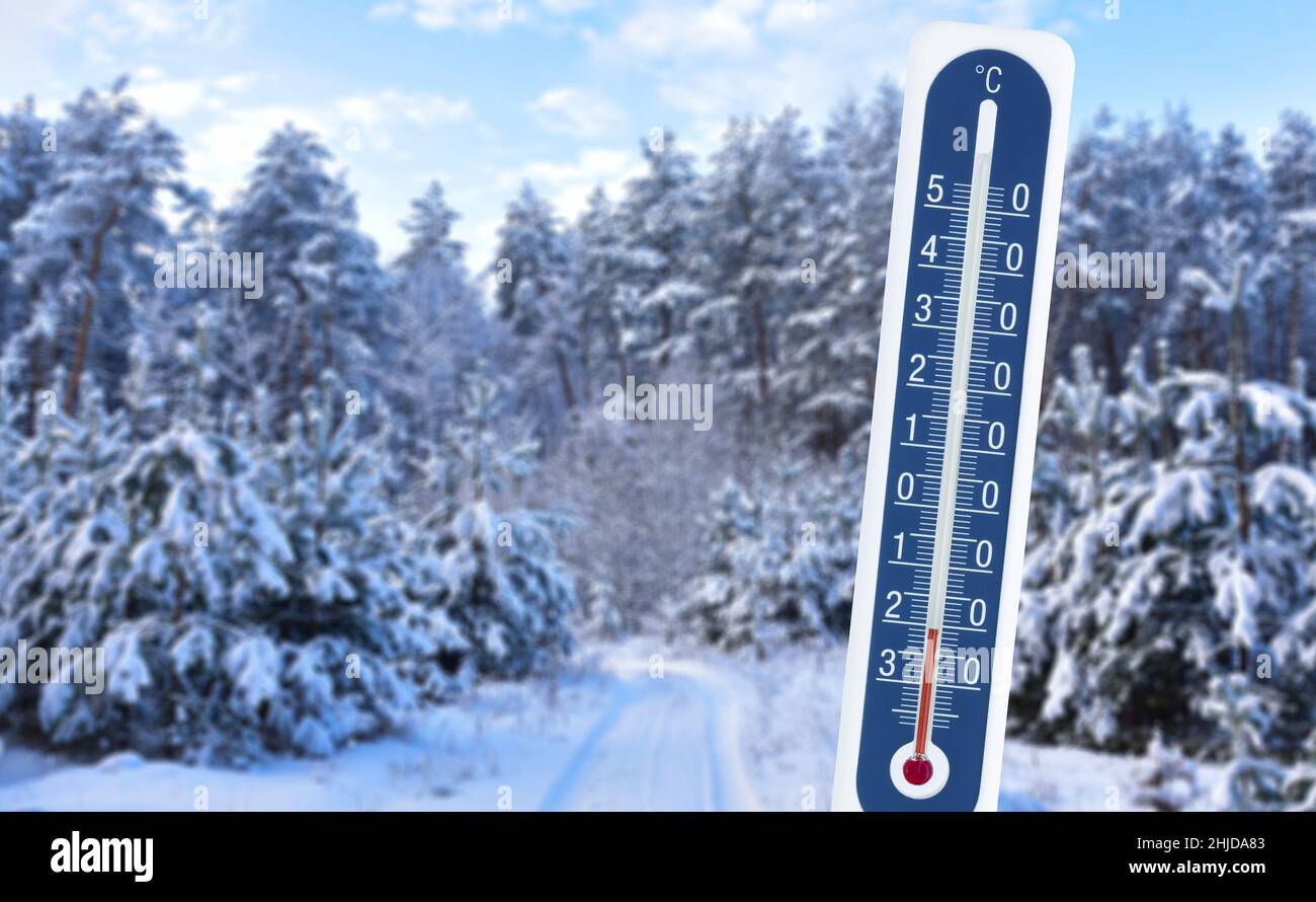 Minus Wintertemperaturen in einem Thermometer zeigt die niedrige Temperatur vor dem Hintergrund des winterverschneiten Waldes. Stockfoto