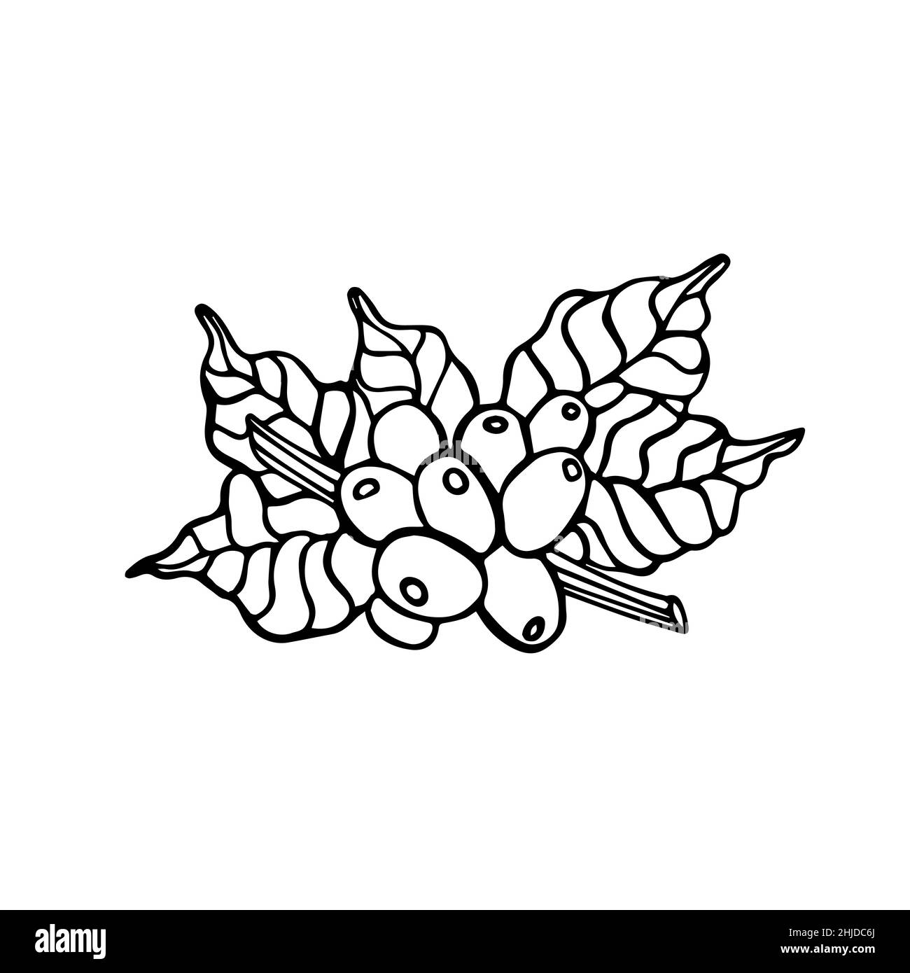 Isolierte, handgezeichnete schwarz-weiße Illustration eines Kaffeestastes mit Bohnen. Symbol und Zeichen für Café oder Produkte Stock Vektor