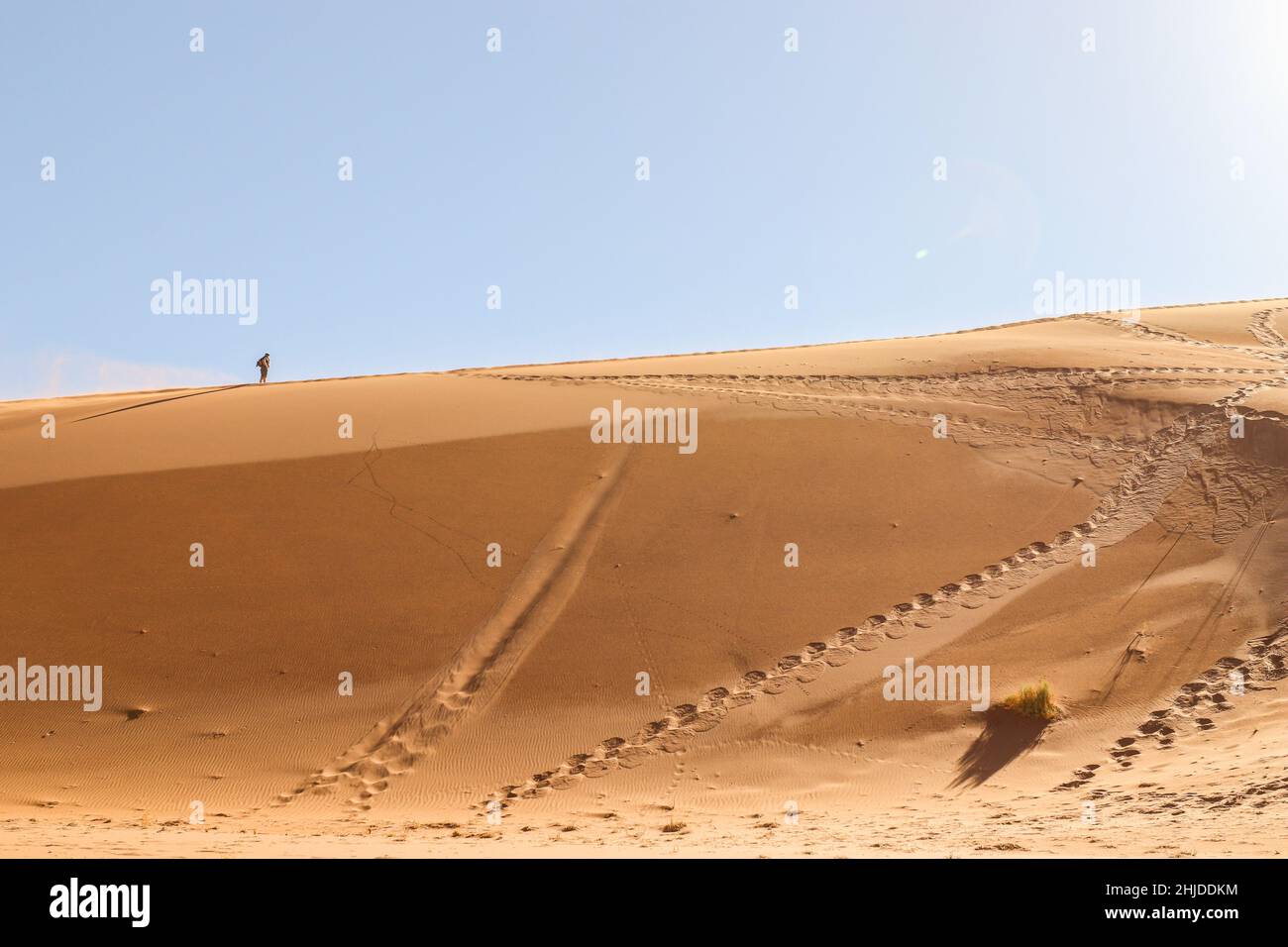 Big Dafy Dune, Sossusvlei, Namibia Stockfoto