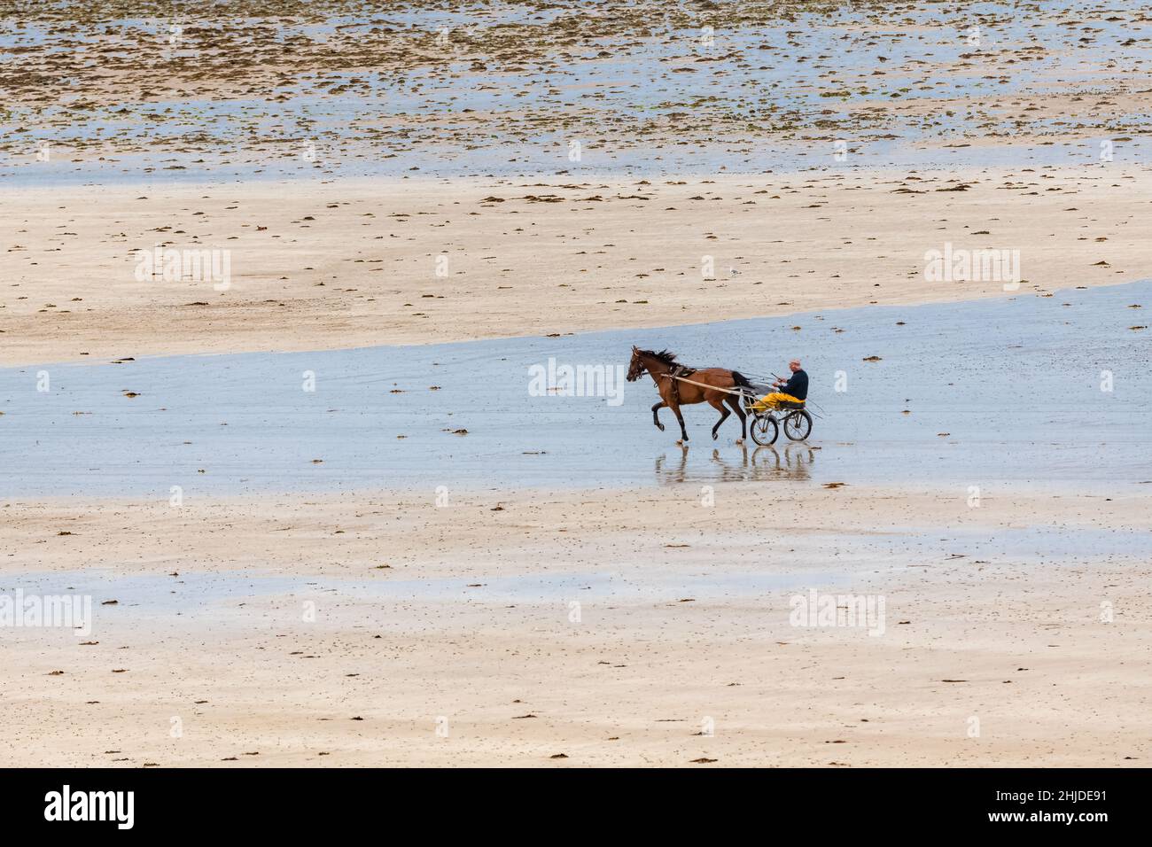 Schöner Strand in Agon-Coutainville in der Normandie, mit einem Pferd und einem Reiter Stockfoto