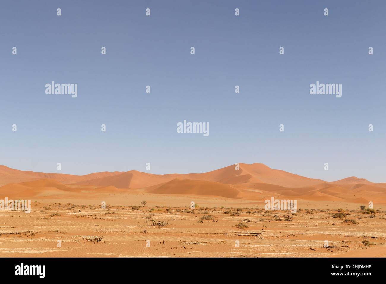 Wüstenlandschaft bei Sossusvlei, Namibia Stockfoto