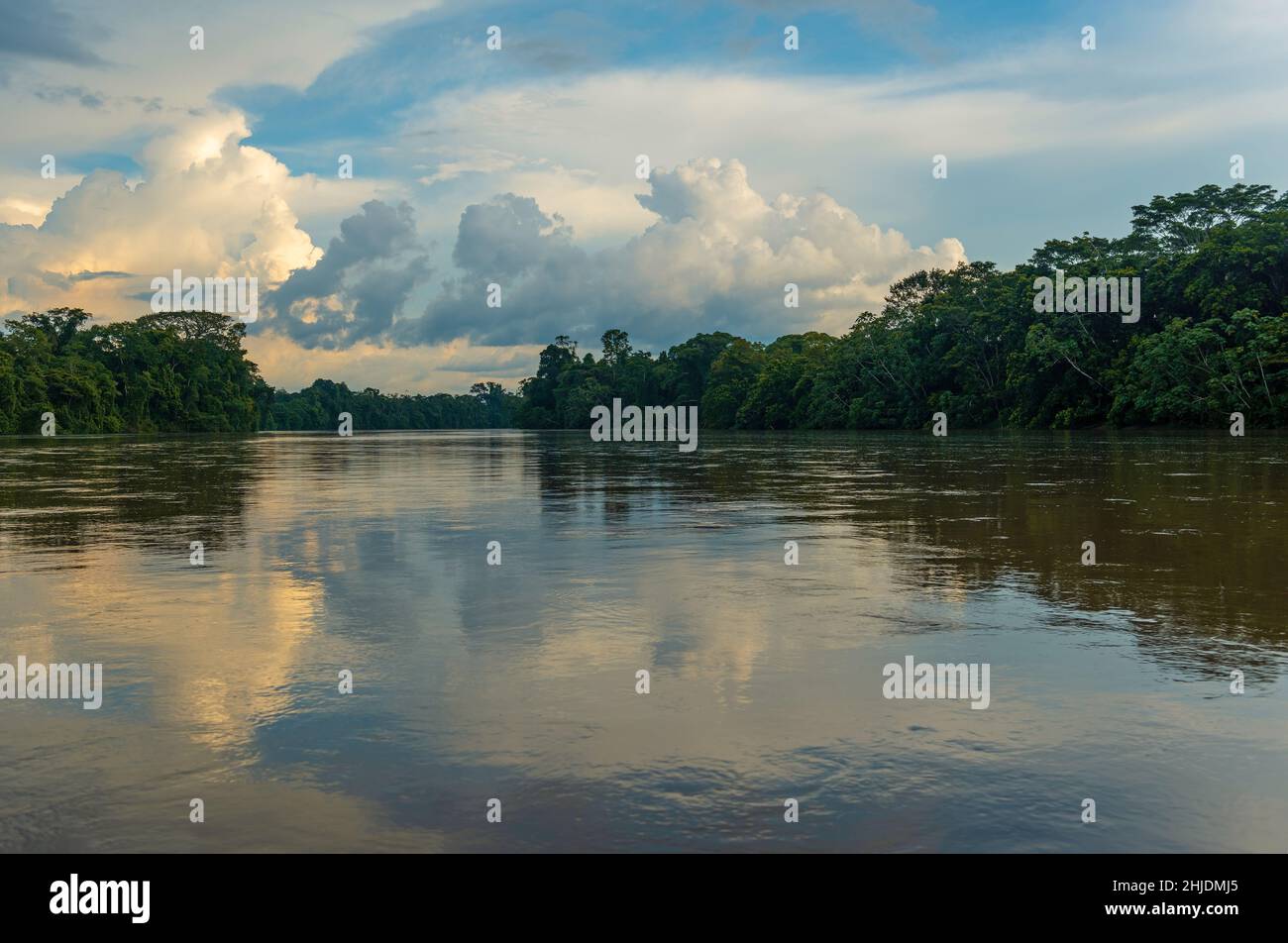 Amazonas-Regenwald am Fluss Aguarico, Cuyabeno Wildreservat, Ecuador. Stockfoto