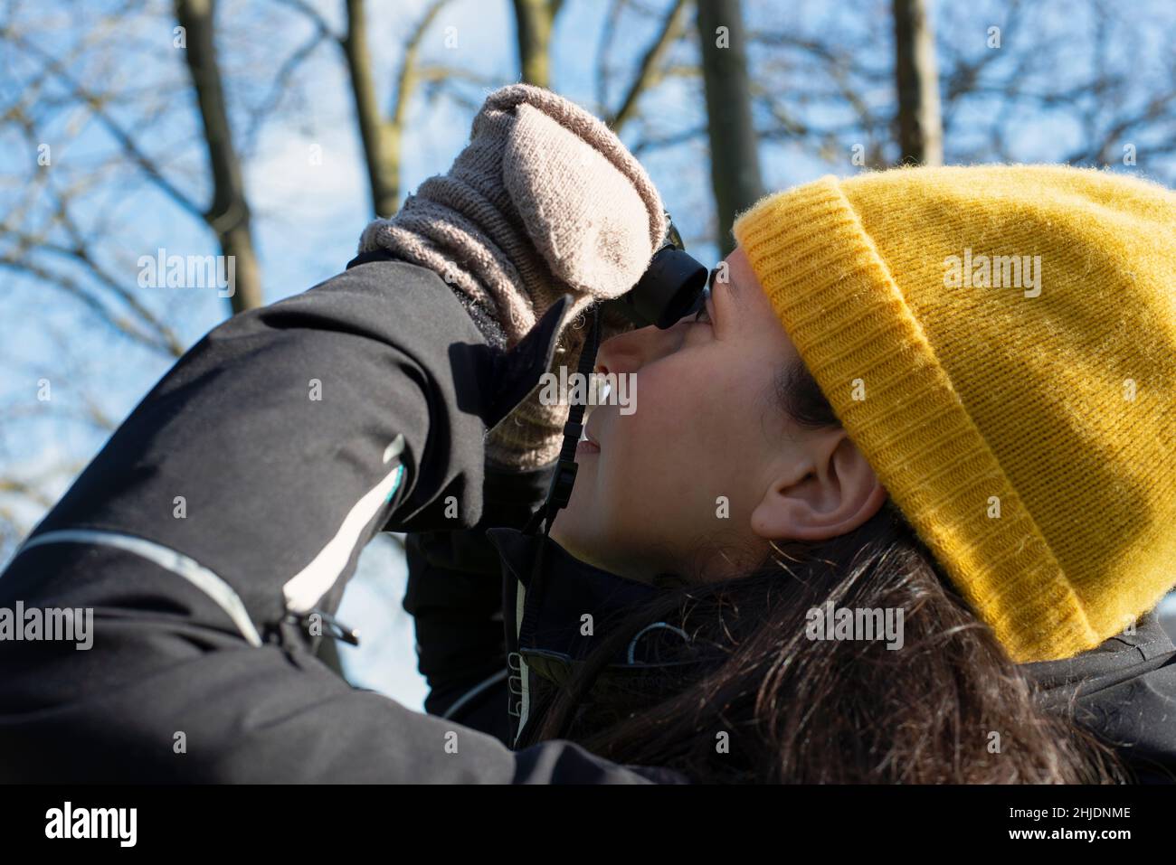 Person mit Hut und Handschuhen Vogelbeobachtung an einem sonnigen Wintertag in der Natur Stockfoto