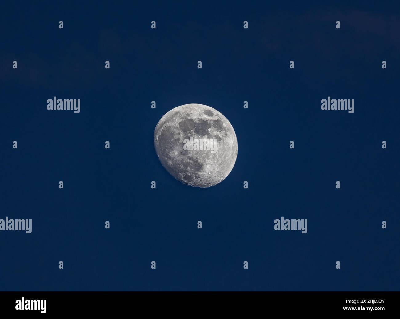 Nahaufnahme des zunehmenden Mondes - einen Tag vor Vollmond - am frühen Abend Aufnahme gegen dunkelblauen Himmel. Stuttgart, 22. Januar 2022 Stockfoto