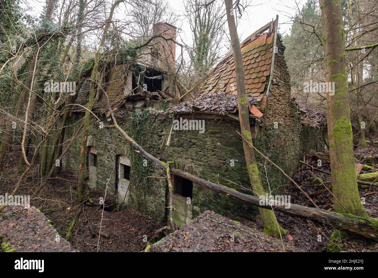 Langenhain Ziegenberg, Deutschland. 18th Januar 2022. Fast vollständig eingestürzt ist dieses Gebäude, das früher von der Wehrmacht am Eingang zum ehemaligen Führerhauptquartier Adlerhorst im Wald bei Langenhain-Ziegenberg genutzt wurde. Der semi-unterirdische Bunkerkomplex wurde oft vergessen. Quelle: Boris Roessler/dpa/Alamy Live News Stockfoto
