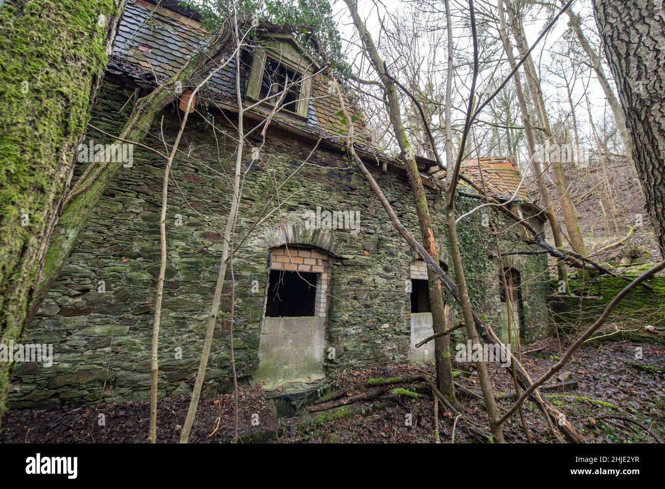 Langenhain Ziegenberg, Deutschland. 18th Januar 2022. Fast vollständig eingestürzt ist dieses Gebäude, das früher von der Wehrmacht am Eingang zum ehemaligen Führerhauptquartier Adlerhorst im Wald bei Langenhain-Ziegenberg genutzt wurde. Der semi-unterirdische Bunkerkomplex wurde oft vergessen. Quelle: Boris Roessler/dpa/Alamy Live News Stockfoto