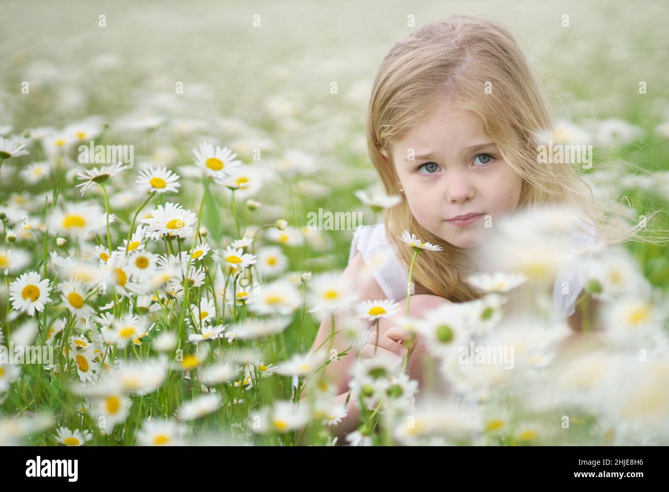 Niedliches kleines Mädchen in großer Kamillenwiese. Porträtkomposition. Stockfoto
